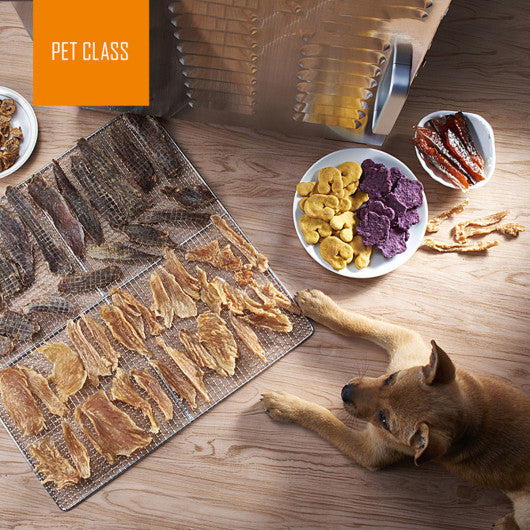 Costway 10 Trays Stainless Steel Food Dehydrator Fruit Dryer