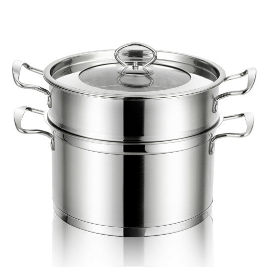 Costway 2 Tier Stainless Steel Steamer with Handles and Glass Lid