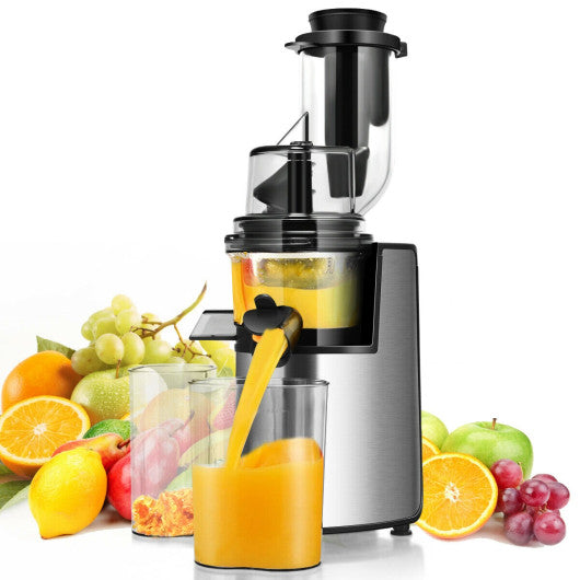 Costway EP24397 Slow Masticating Juicer Cold Press Juicer Extractor