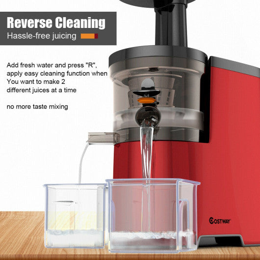 Costway Slow Fruit Vegetable Masticating Juicer Cold Press Extractor