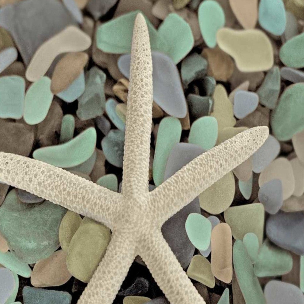 HomeRoots 10" Starfish and Colorful Seaglass 1 Giclee Wrap Canvas Wall Art