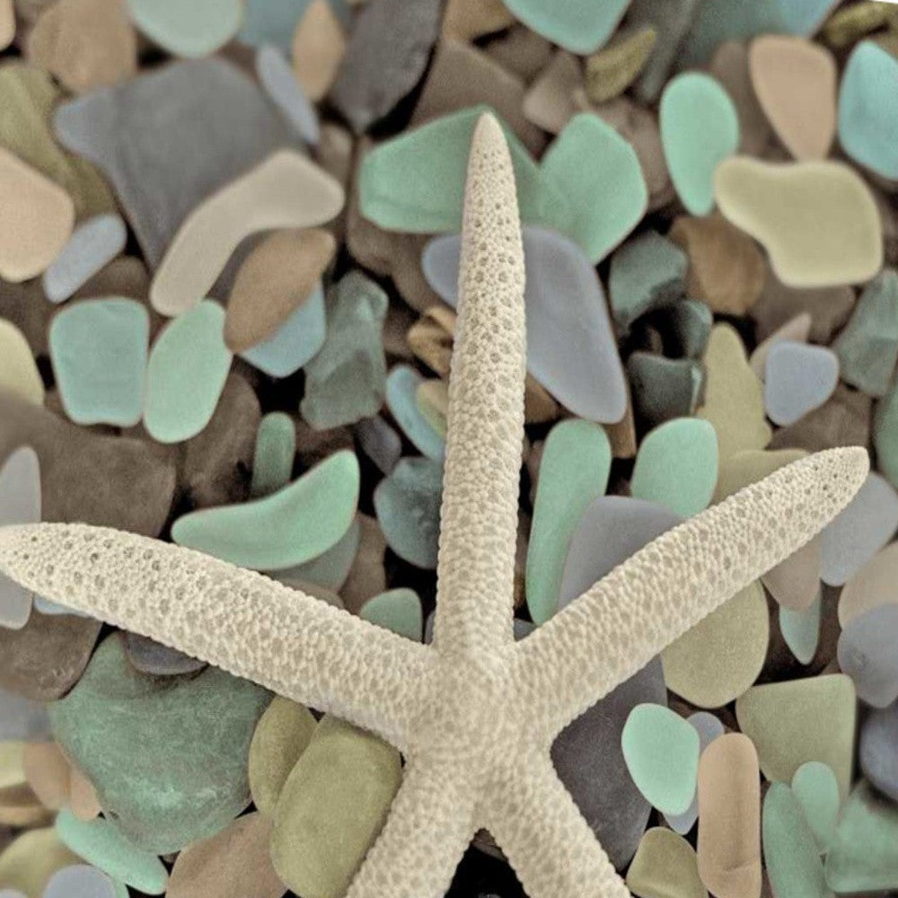 HomeRoots 10" Starfish and Colorful Seaglass 2 Giclee Wrap Canvas Wall Art