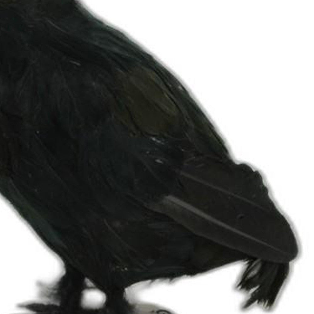 HomeRoots 11" Black Faux Feather Crow Sculpture