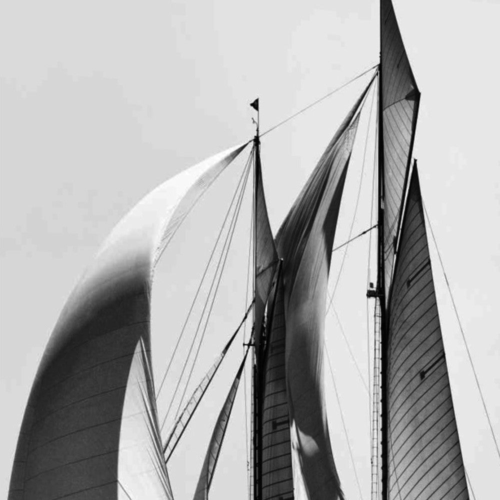 HomeRoots 24" Black and White Sailboat Giclee Wrap Canvas Wall Art