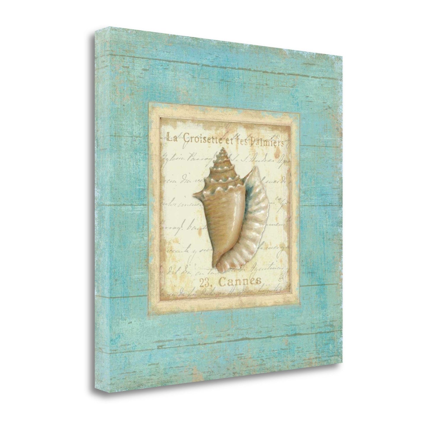 HomeRoots 24" French Chic Seashell Print on Gallery Wrap Canvas Wall Art
