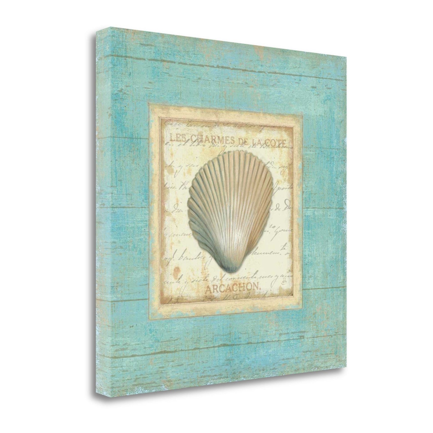 HomeRoots 24" Stylish French Seashell Print on Gallery Wrap Canvas Wall Art