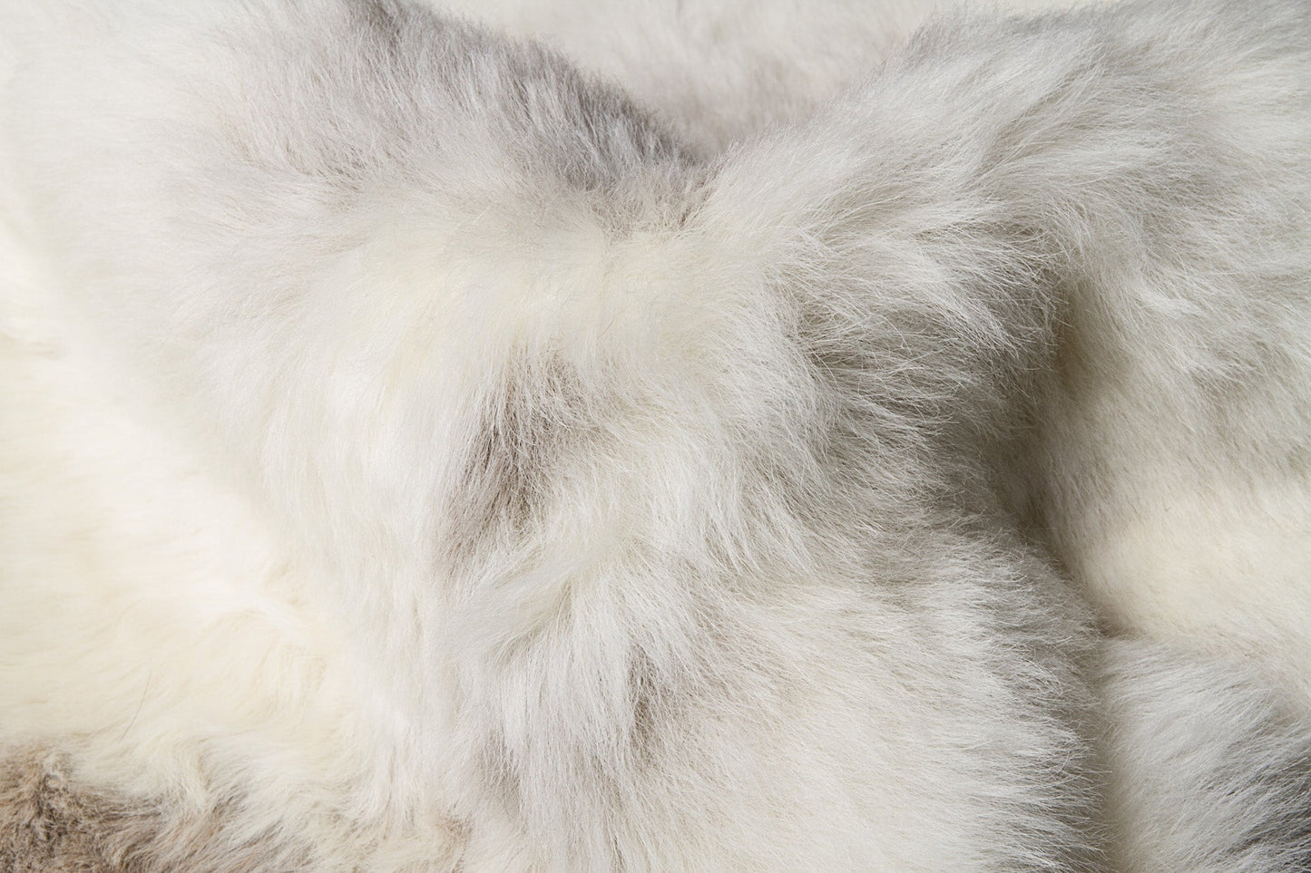 HomeRoots 24" x 36" x 1.5" x 2" Spotted Sheepskin Single Short Haired Area Rug