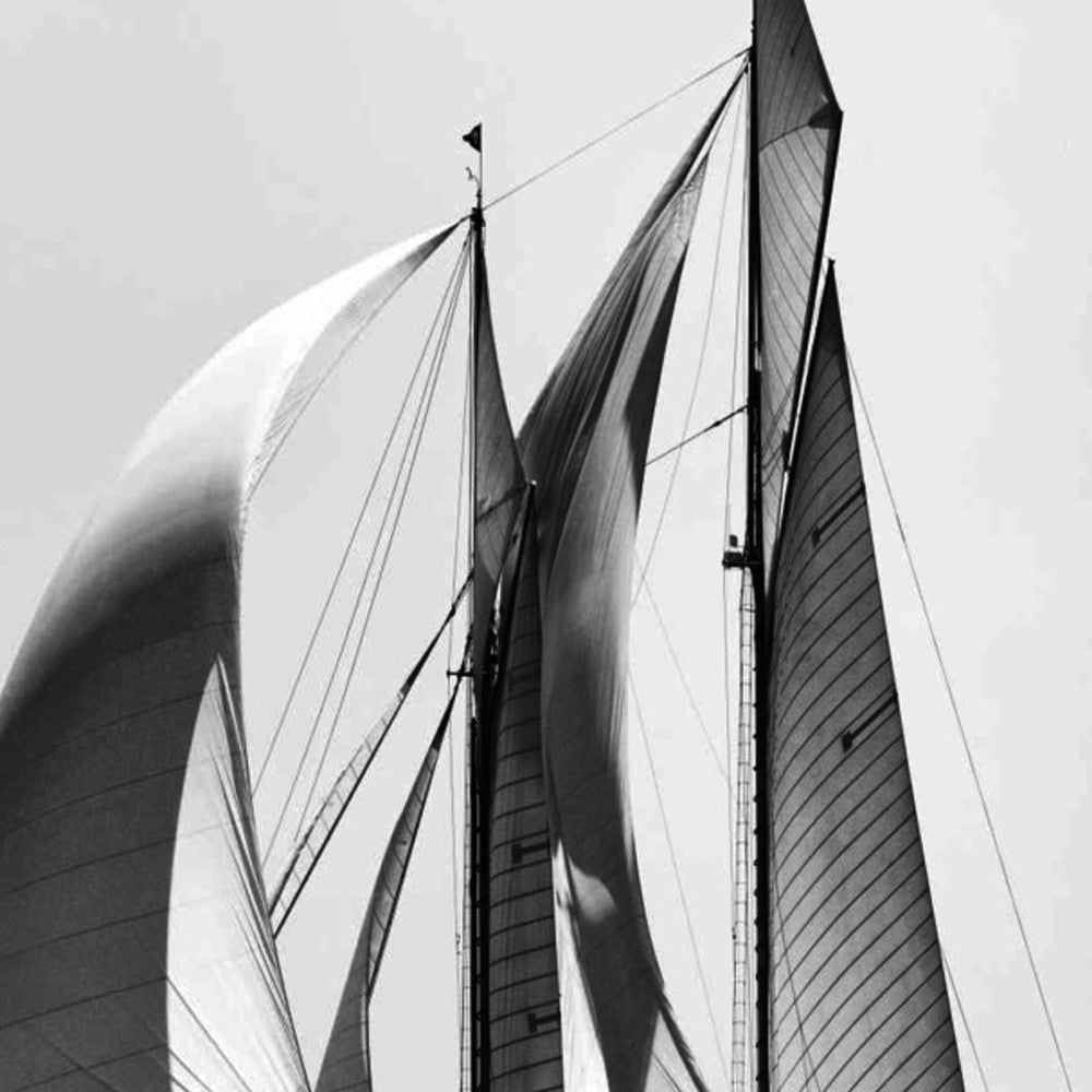 HomeRoots 25" Black and White Sailboat Giclee Wrap Canvas Wall Art