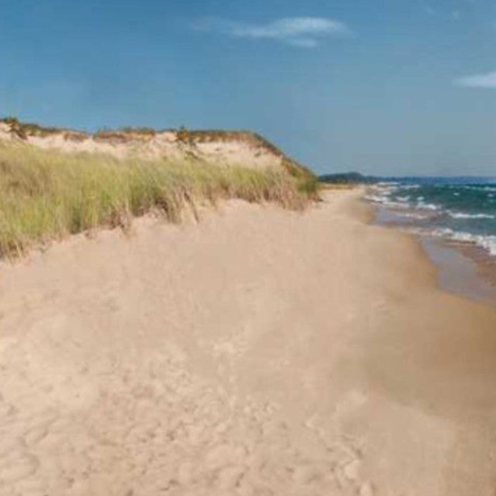 HomeRoots 34" By the Sea Shore Giclee Wrap Canvas Wall Art