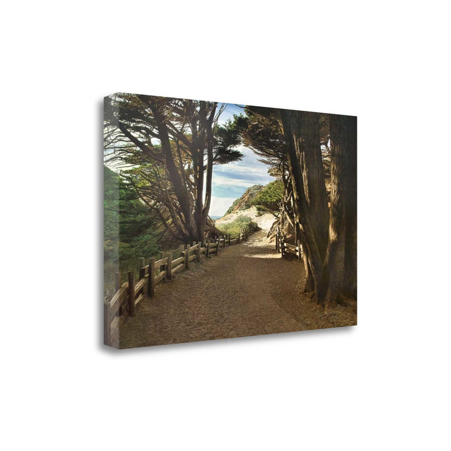 HomeRoots 34" Forest Walk by the Beach Print on Gallery Wrap Canvas Wall Art