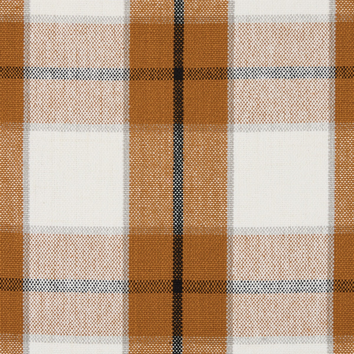 Park Designs Conley Placemat - Set of 12