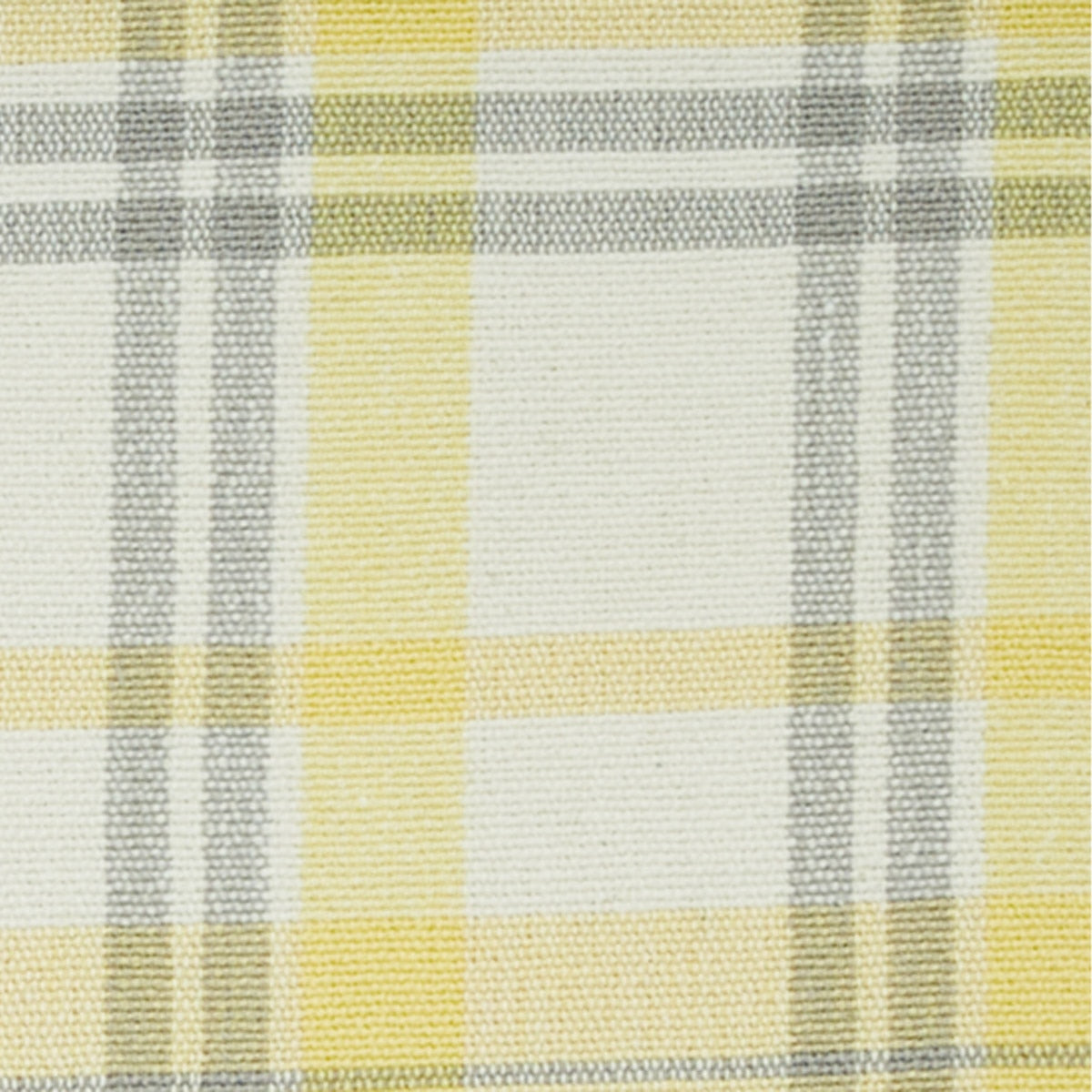 Park Designs Meadowlark Placemat - Set of 4