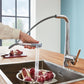 Grohe Zedra 1.75 GPM Dual Spray Single-Handle StarLight Chrome Pull-Out Kitchen Faucet