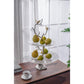 A&B Home 16" x 24" Bundle of 24 Atelier Two-Tier Clear Serving Plates With Winding Branch Shape and Charming Bird Ornaments