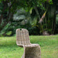 A&B Home Cardenas 20" x 37" Bundle of 9 Natural Gray Wash Rattan Chair