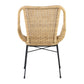 A&B Home Januar 26" x 34" Bundle of 12 Light Brown Rattan Chair