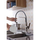 ANZZI Accent Series Single Hole Brushed Nickel Kitchen Faucet With Euro-Grip Pull Down Sprayer