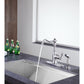 ANZZI Highland Series Single Hole Brushed Nickel Kitchen Faucet With Euro-Grip Pull Out Sprayer