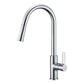 ANZZI Serena Series Single Hole Polished Chrome Kitchen Faucet With Euro-Grip Pull Down Sprayer