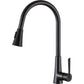 ANZZI Tulip Series Single Hole Oil Rubbed Bronze Kitchen Faucet With Euro-Grip Pull Down Sprayer