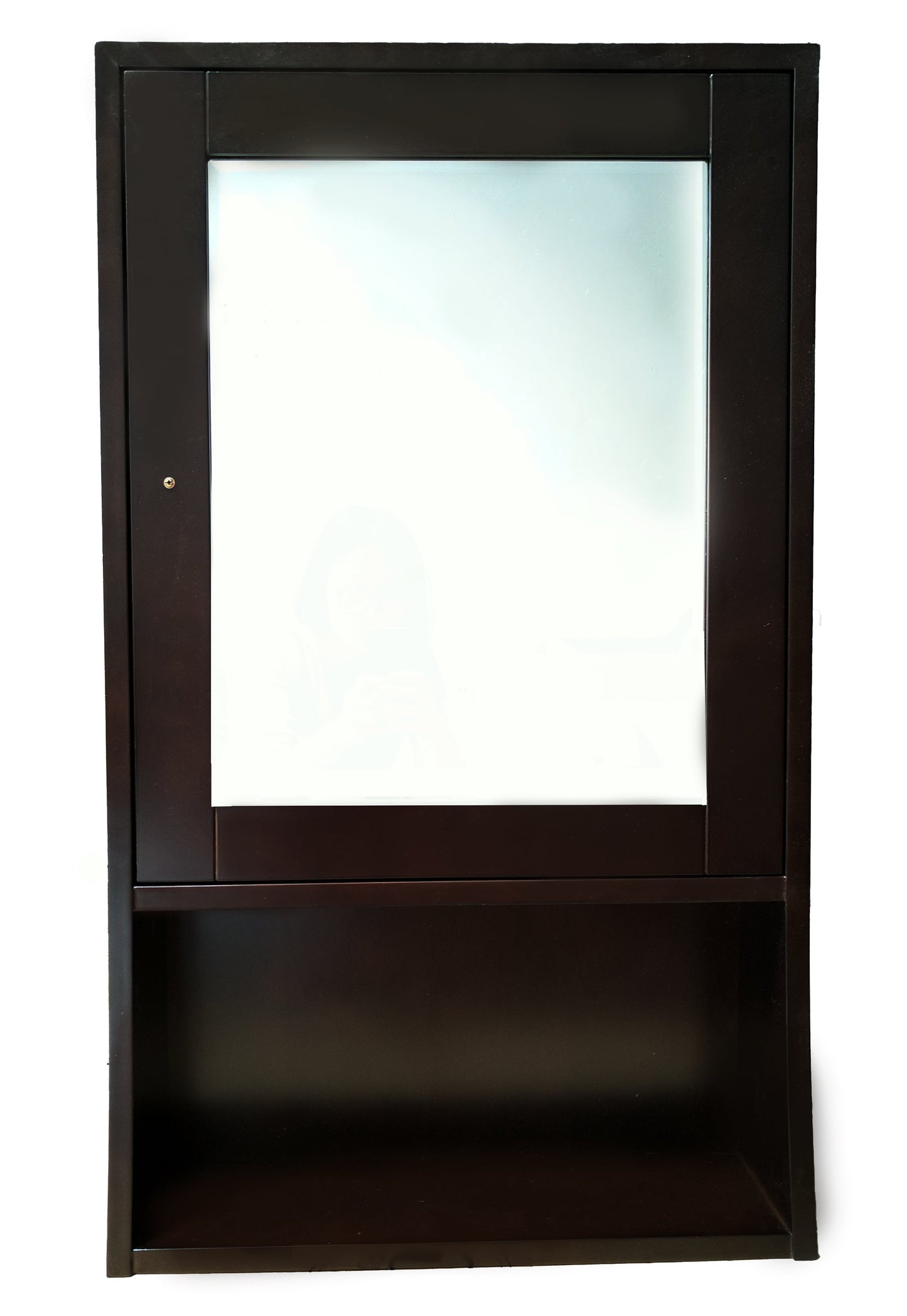 American Imaginations AI-27832 20" Espresso Rectangular Wall Mount Transitional Medicine Cabinet