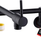 American Imaginations AI-36096 20" Matte Black Unique Brass Modern Kitchen Sink Faucet