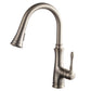 Blossom F01 204 9" x 17" Brushed Nickel Single Lever Handle Pull Down Kitchen Faucet