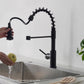 Blossom F01 205 9" x 17" Matte Black Single Lever Handle Pull Down Kitchen Faucet