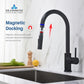 Blossom F01 206 9" x 17" Matte Black Single Lever Handle Pull Down Kitchen Faucet