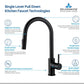 Blossom F01 206 9" x 17" Matte Black Single Lever Handle Pull Down Kitchen Faucet