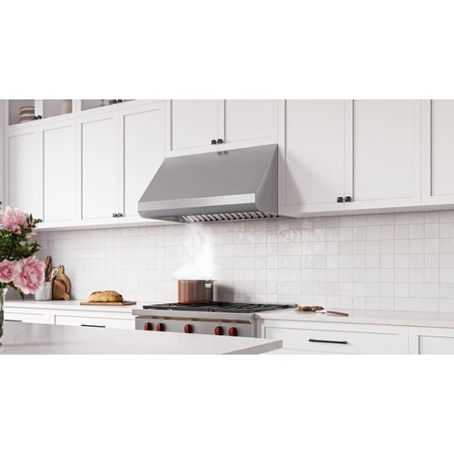 Broan E6030SS 30" Heat Sentry Stainless Steel Convertible Canopy Wall-Mount Range Hood