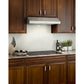 Broan Glacier BCDF130SS Range Hood