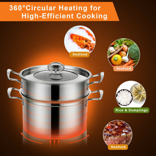 Costway 2 Tier Stainless Steel Steamer with Handles and Glass Lid