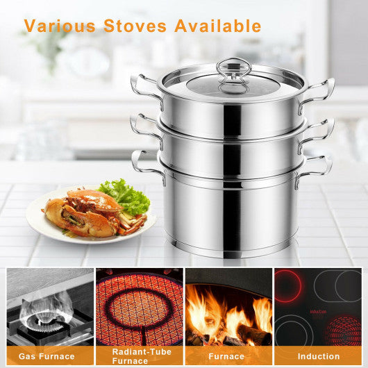 Costway 3 Tier Stainless Steel Steamer with Handles and Glass Lid