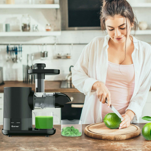Costway Black Horizontal Slow Masticating Extractor Juicer with Brush