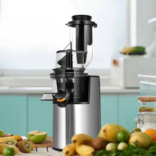 Costway EP24397 Slow Masticating Juicer Cold Press Juicer Extractor