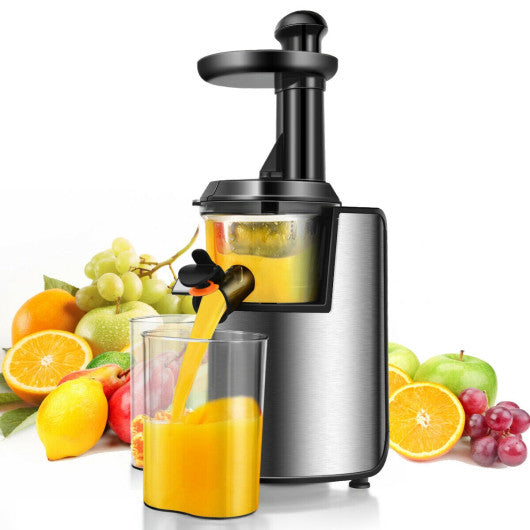 Costway EP24398 Slow Masticating Juicer Cold Press Juicer Extractor