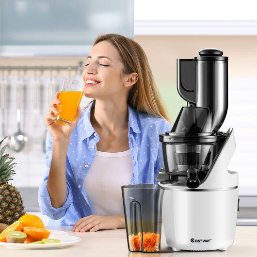 Costway Juicer Machines Slow Masticating Juicer Cold Press Extractor with 3" Chute