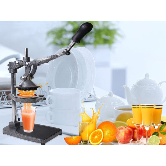 Costway Pro Fruit Squeeze Extractor Juicer lemon Orange Citrus Fresh Commercial Unit New