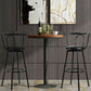 Costway Set of 2 Modern Swivel Pub Metal Counter Height Bar Stools with Footrest and Back