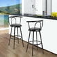 Costway Set of 2 Modern Swivel Pub Metal Counter Height Bar Stools with Footrest and Back