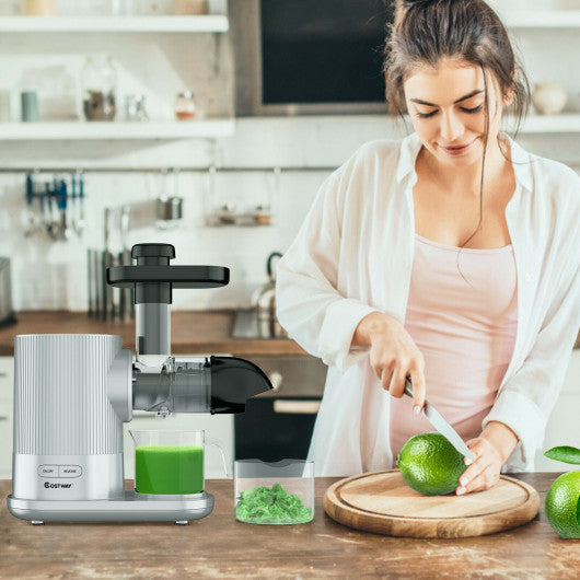 Costway Silver Horizontal Slow Masticating Extractor Juicer with Brush