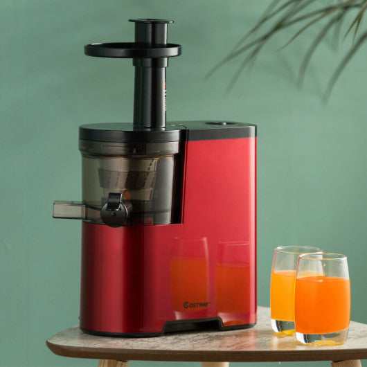 Costway Slow Fruit Vegetable Masticating Juicer Cold Press Extractor