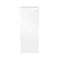 Danby 168L White Upright Freezer - DUFM060B1WDB