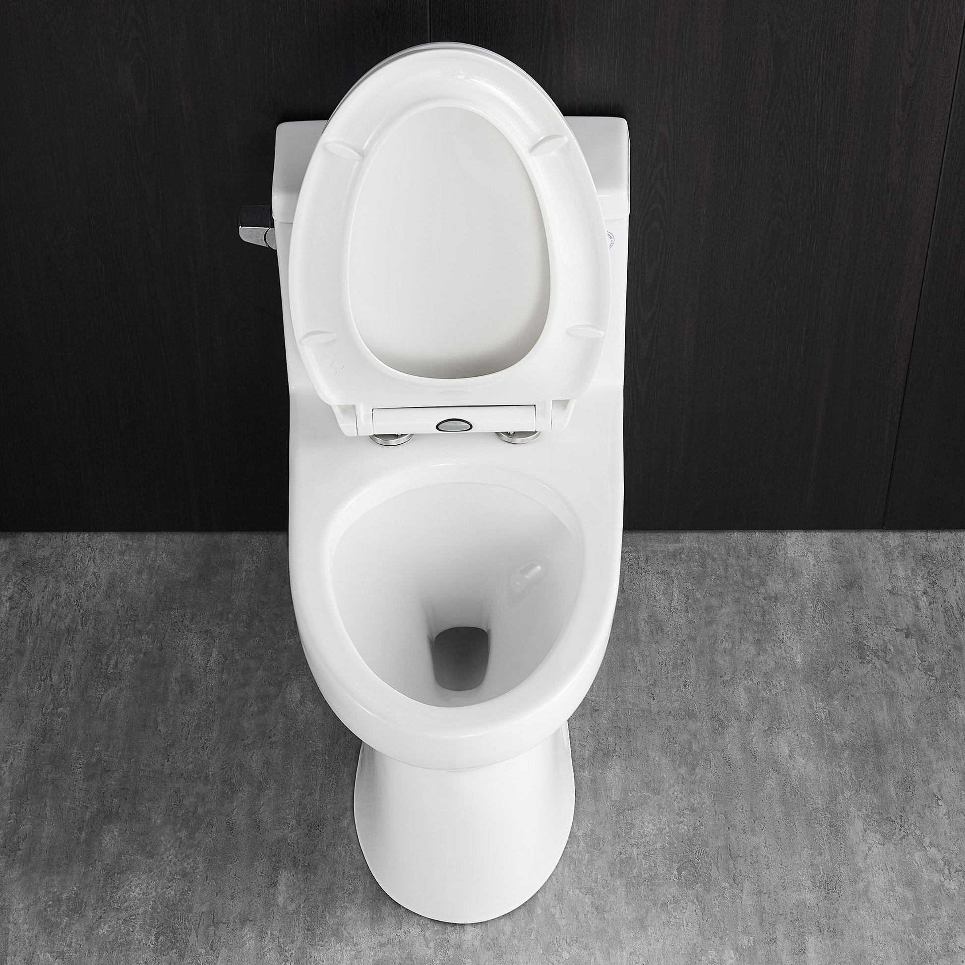 DeerValley Concord 12" Rough-in Single-Flush Elongated White One-Piece Toilet