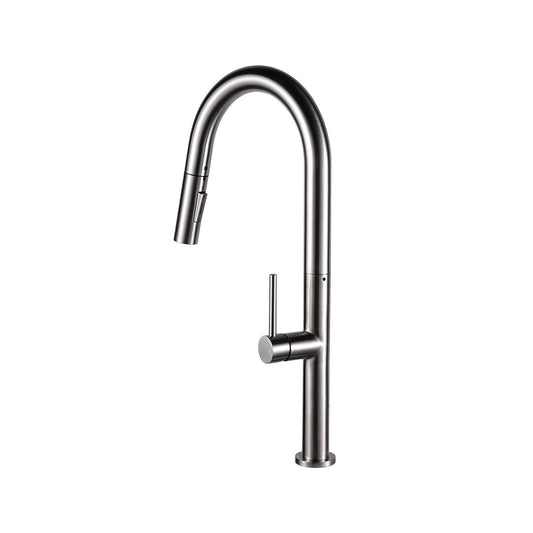 DeerValley DV-1J82281 Gleam Single Handle Stainless Steel Gooseneck Kitchen Faucet With Pull Down Sprayer
