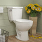 DeerValley Dynasty 1.28GPF Single-Flush Elongated White Two-Piece Toilet
