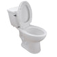 DeerValley Dynasty 1.28GPF Single-Flush Elongated White Two-Piece Toilet