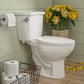 DeerValley Dynasty 1.28GPF Single-Flush Elongated White Two-Piece Toilet