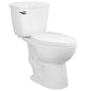 DeerValley Dynasty 1.28GPF Single-Flush Elongated White Two-Piece Toilet